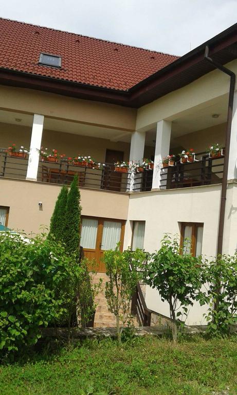Pension Laura Cheile Turzii Petrestii de Jos Ngoại thất bức ảnh