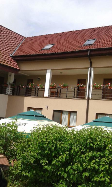 Pension Laura Cheile Turzii Petrestii de Jos Ngoại thất bức ảnh