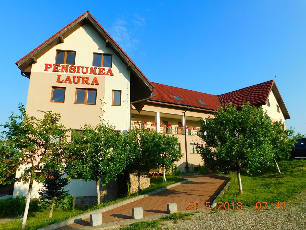 Pension Laura Cheile Turzii Petrestii de Jos Ngoại thất bức ảnh