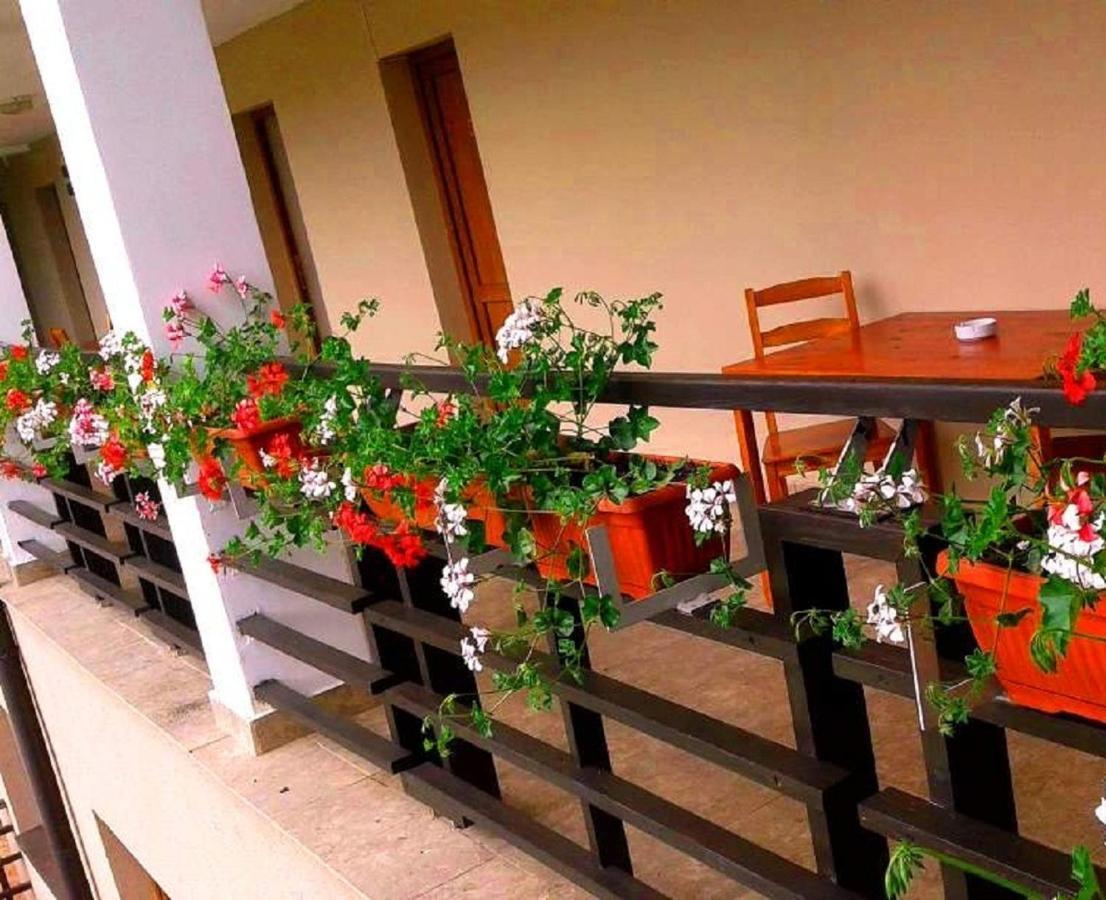 Pension Laura Cheile Turzii Petrestii de Jos Phòng bức ảnh